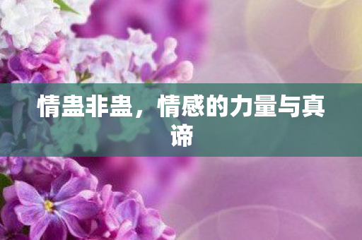 情感的力量与真谛图片