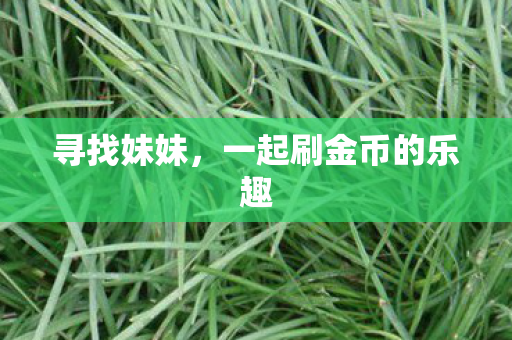 一起刷金币的乐趣图片