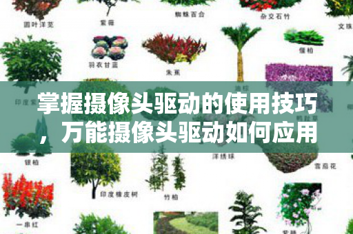 掌握摄像头驱动的使用技巧图片