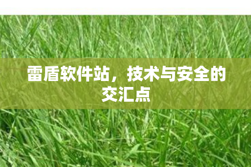 技术与安全的交汇点图片