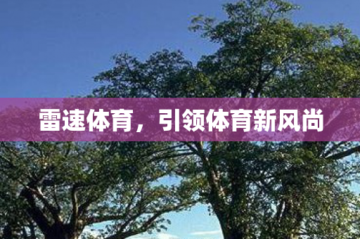 引领体育新风尚图片