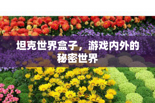 游戏内外的秘密世界图片