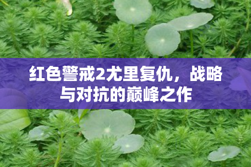 战略与对抗的巅峰之作图片