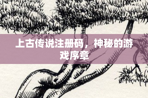 上古传说注册码图片