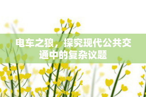 探究现代公共交通中的复杂议题图片