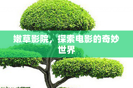 探索电影的奇妙世界图片