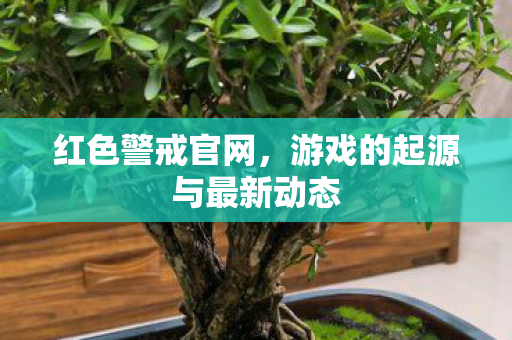 游戏的起源与最新动态图片