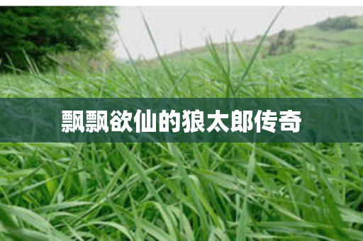 飘飘欲仙的狼太郎传奇图片
