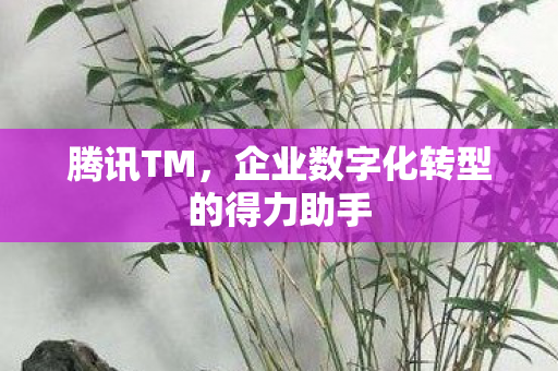 企业数字化转型的得力助手图片