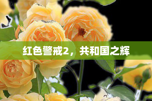 红色警戒2图片