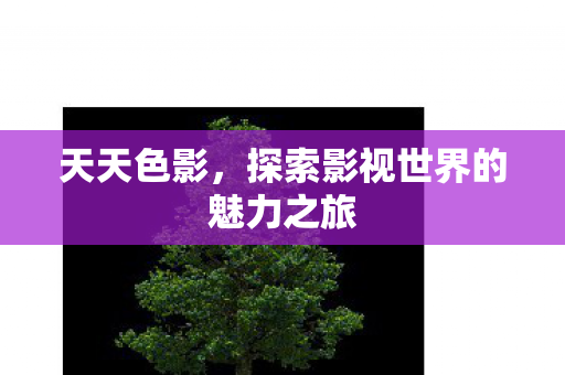 探索影视世界的魅力之旅图片