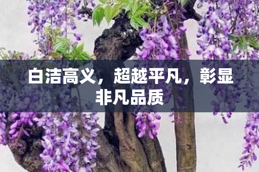 彰显非凡品质图片