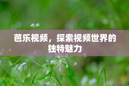探索视频世界的独特魅力图片