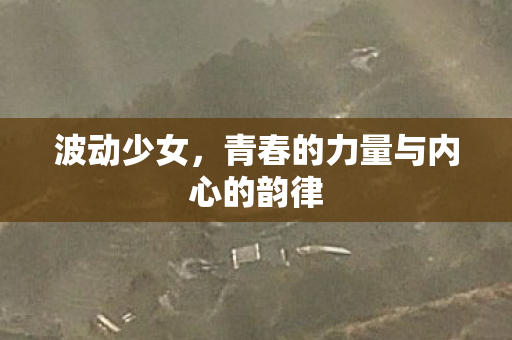 青春的力量与内心的韵律图片