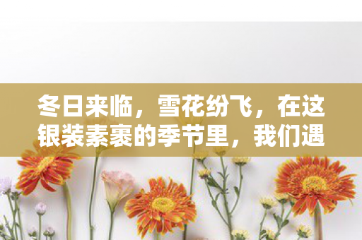 我们遇到了那位美丽的雪之少女图片