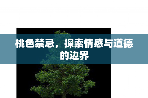 探索情感与道德的边界图片