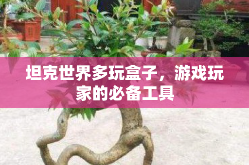 游戏玩家的必备工具图片