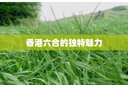 香港六合的独特魅力图片