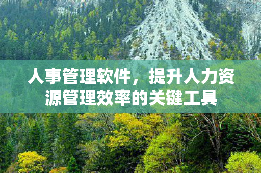 提升人力资源管理效率的关键工具图片
