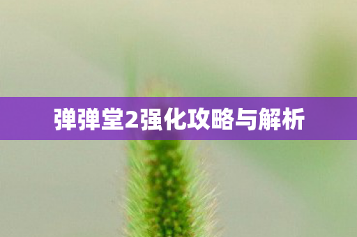 弹弹堂2强化攻略与解析图片