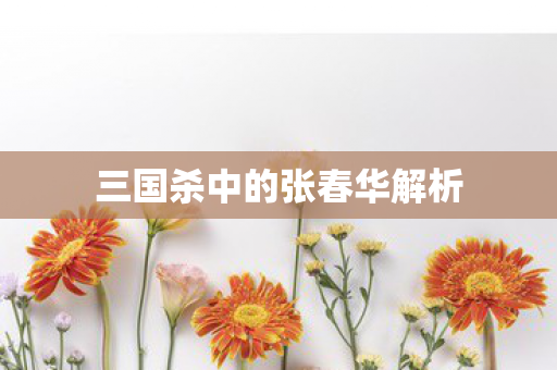 三国杀中的张春华解析图片