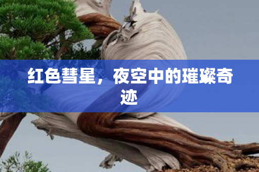 夜空中的璀璨奇迹图片
