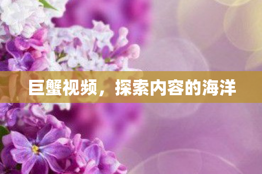 探索内容的海洋图片