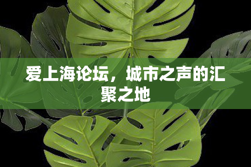 城市之声的汇聚之地图片