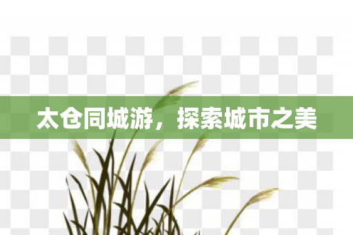 探索城市之美图片