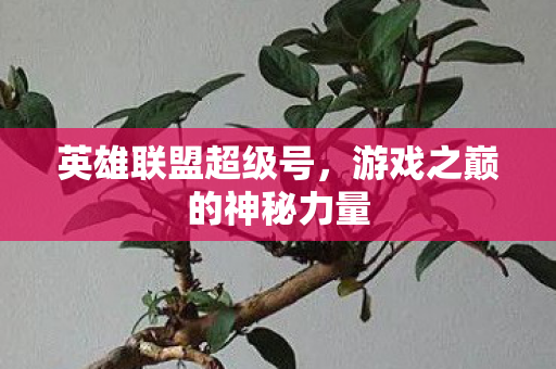 游戏之巅的神秘力量图片