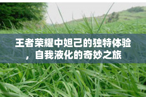 王者荣耀中妲己的独特体验图片