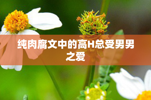 纯肉腐文中的高H总受男男之爱图片