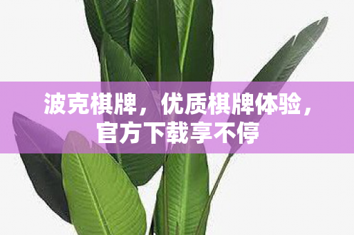 官方下载享不停图片