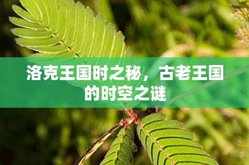 古老王国的时空之谜图片