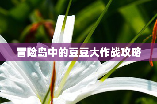 冒险岛中的豆豆大作战攻略图片