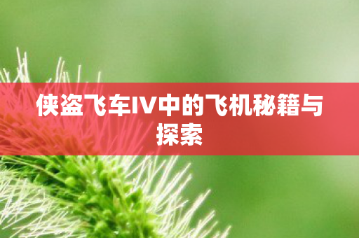 侠盗飞车IV中的飞机秘籍与探索图片