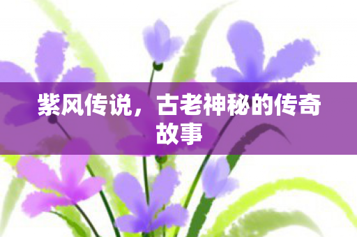 古老神秘的传奇故事图片