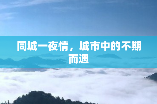 城市中的不期而遇图片