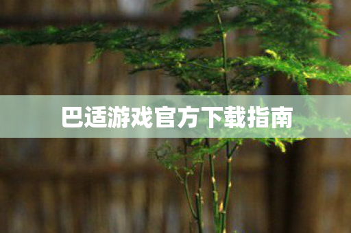 巴适游戏官方下载指南图片