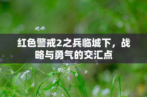 红色警戒2之兵临城下图片