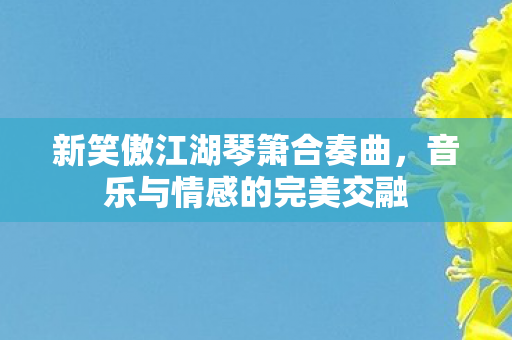 新笑傲江湖琴箫合奏曲图片