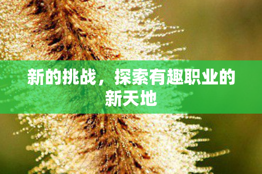 探索有趣职业的新天地图片