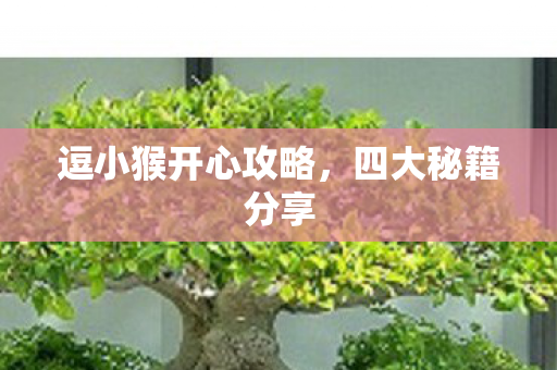 逗小猴开心攻略图片
