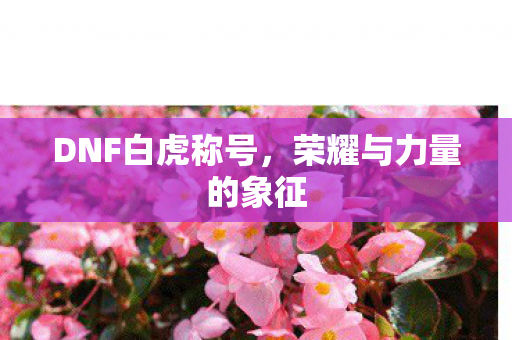 荣耀与力量的象征图片