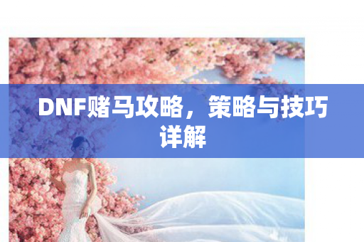 DNF赌马攻略图片