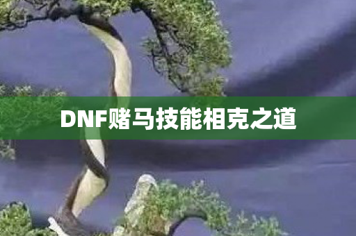 DNF赌马技能相克之道图片