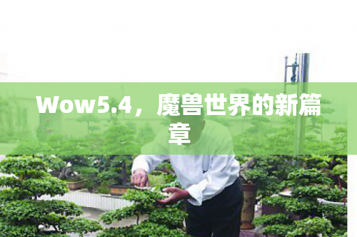 魔兽世界的新篇章图片