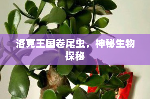 洛克王国卷尾虫图片
