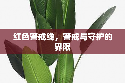 警戒与守护的界限图片