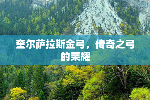 奎尔萨拉斯金弓图片